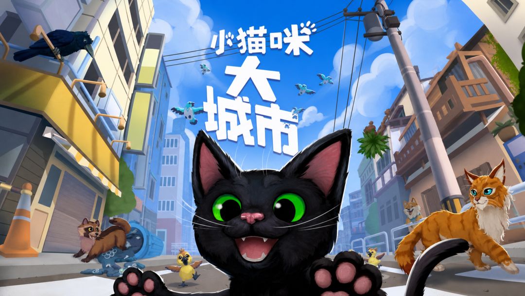 Little Kitty, Big City